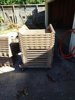 Plastic trays