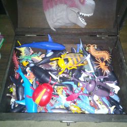 Treasure Chest Of Toys