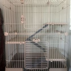 Rat cage with everything in it