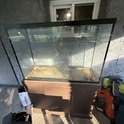 55 Gallon Tank And Stand 