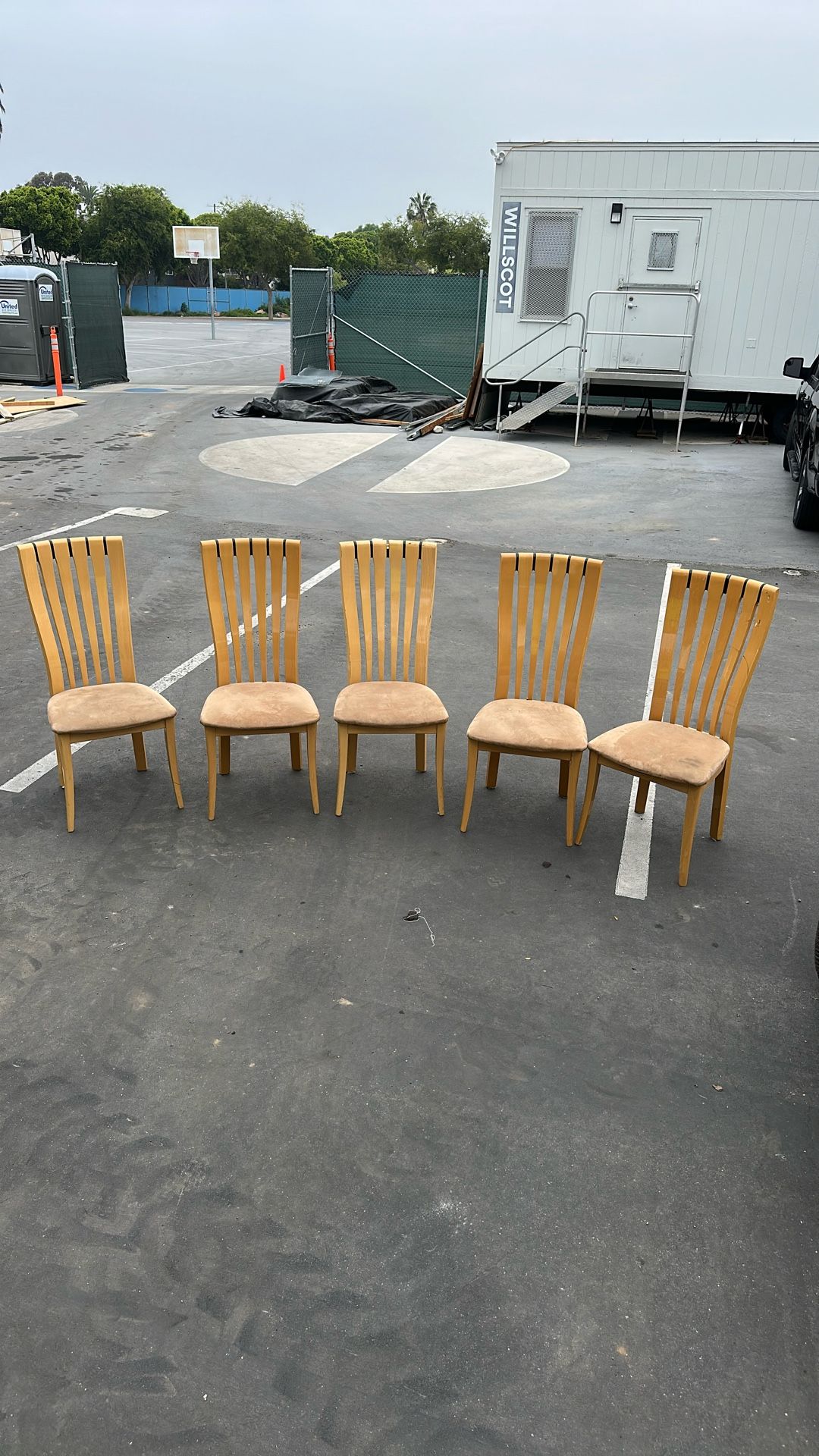 Dining Table Chairs