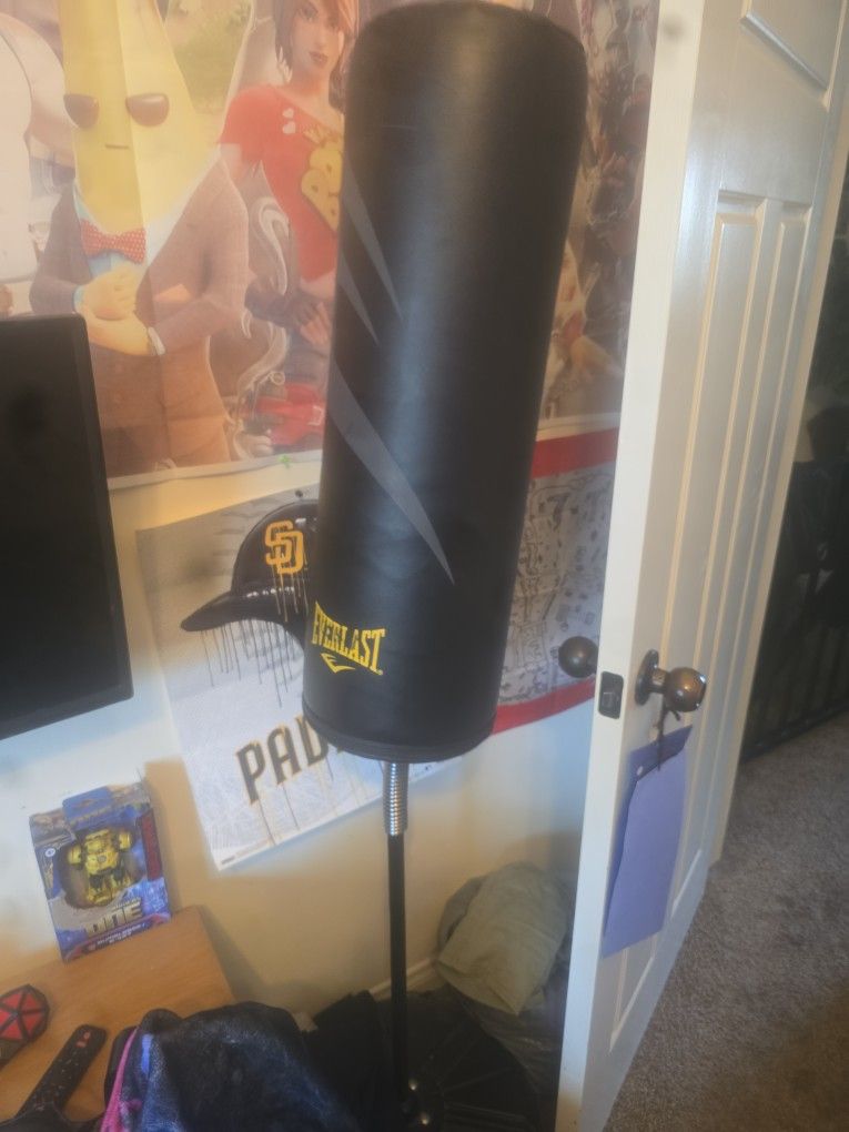 Kids Punching bag