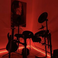 Alesis Nitro Mesh Kit  ($260)