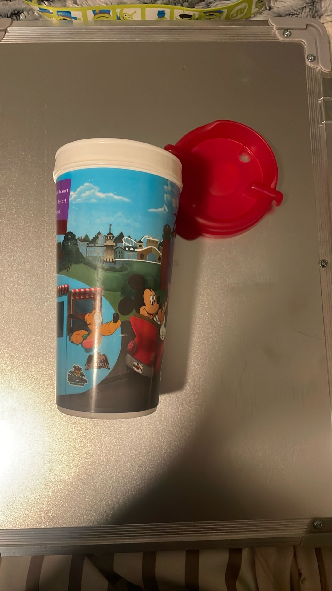 Walt Disney Tumbler Disney World