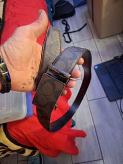 Coach belt