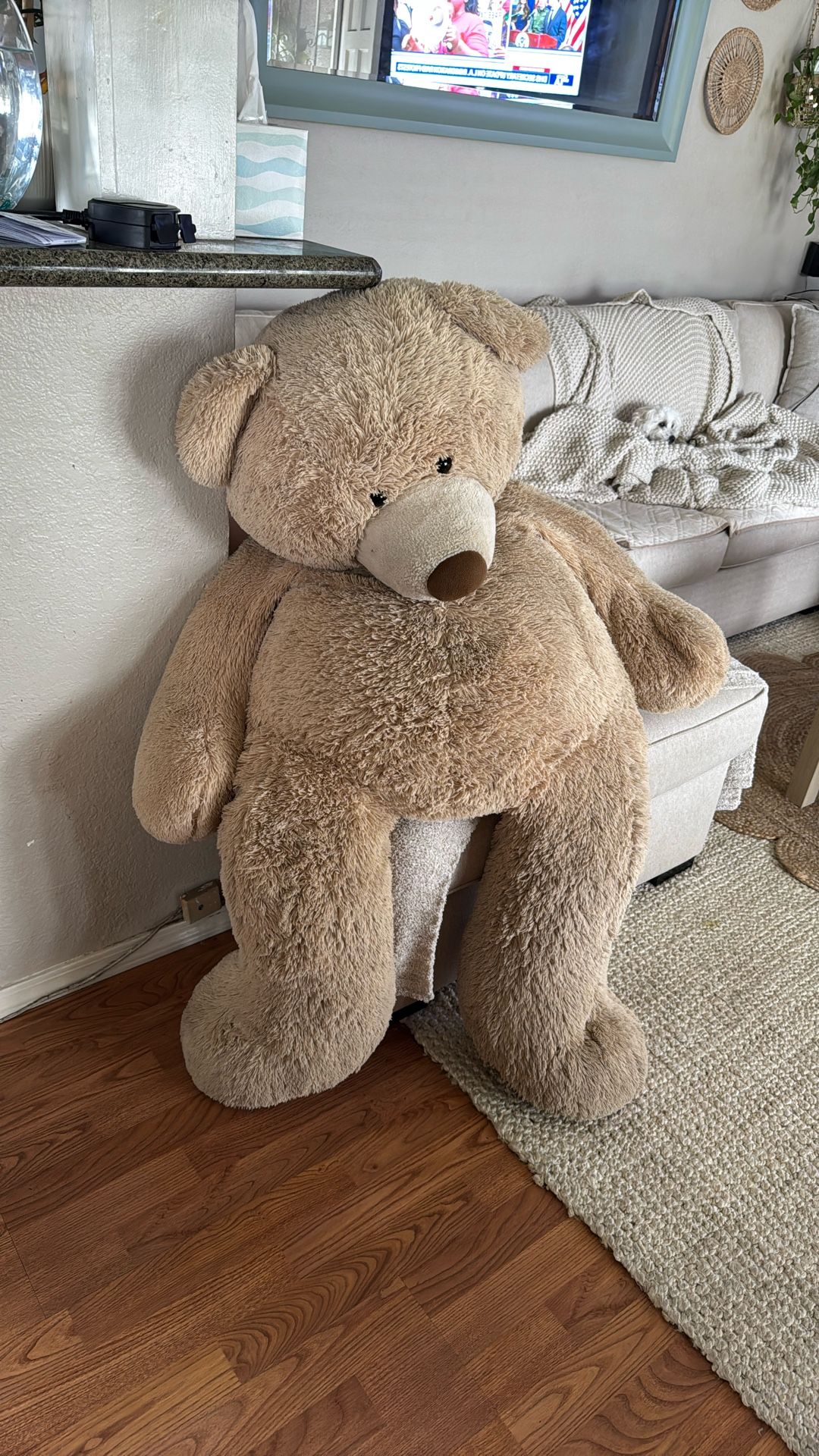 Big Giant Teddy Bear