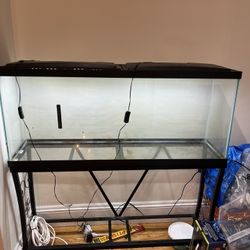 55 Gallon Aquarium Tank + Cover And Stand