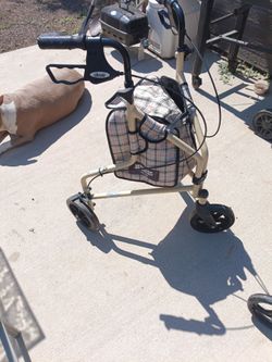 Weenie Walker with storage
