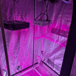 Grow Tent and Full Setup