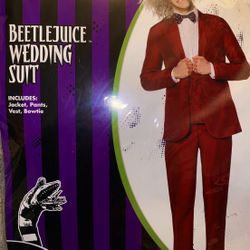 Beetlejuice Costume Adult Size Medium