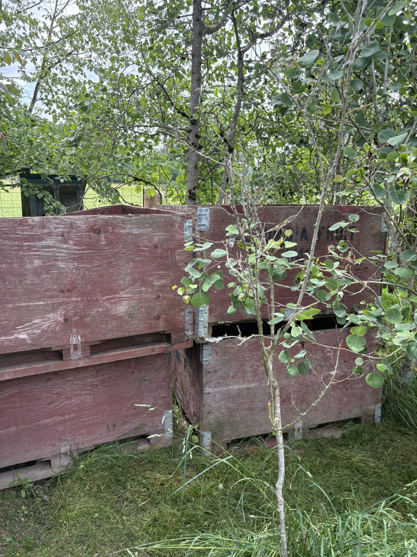 Apple Boxes
