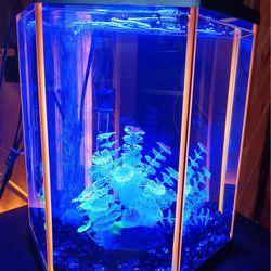 Glow Fish Tank- 10gal