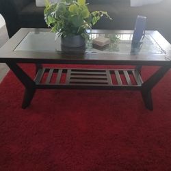 Modern Glass Top Coffee Table with Shelf