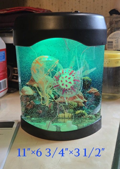 Cute Little Fish Tank