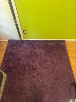 Purple Rug 5x8