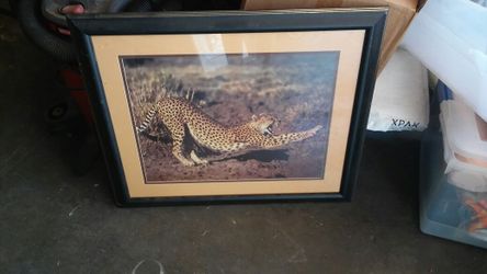 Leopard frame