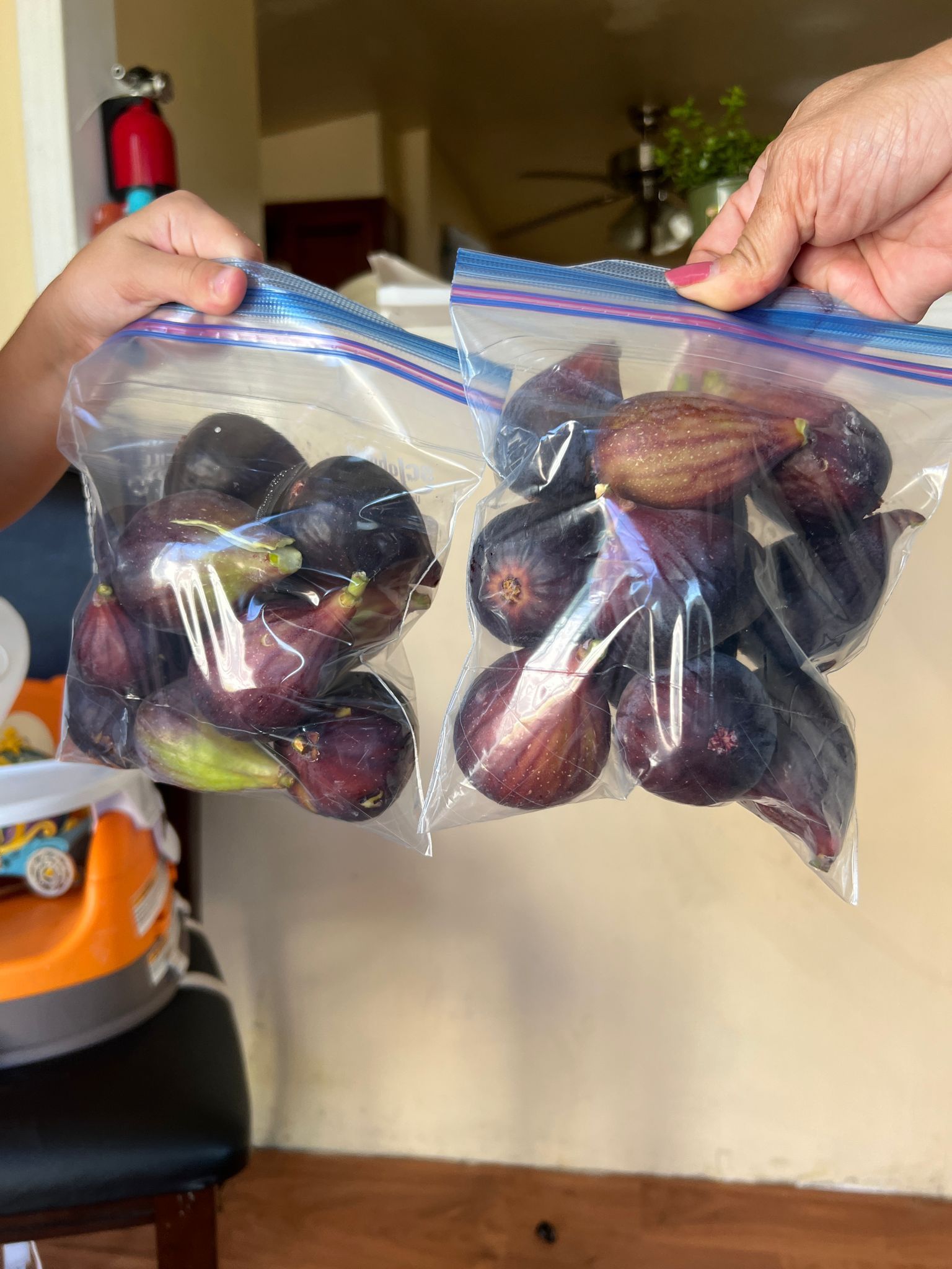 Fruta Recien Cortada