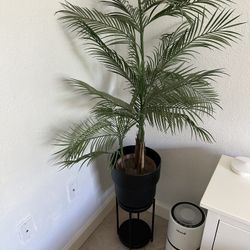Plant stand And fake plant