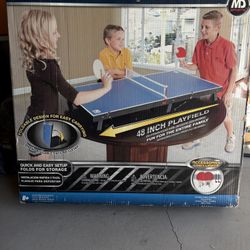 Mini Ping Pong Table