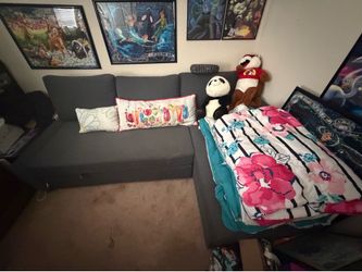 Pull out couch pull out futon