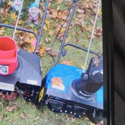 Craftsman Leaf Bagger And More 