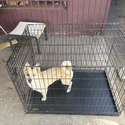 Dog Crate 