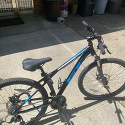 Bicycle GT Mountain 