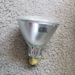  Wide flood light  120 volt 75 W wide