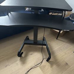 Standing Desk (Stand steady Brand)