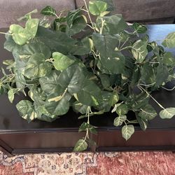 Counter Artificial Plant