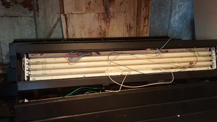 4ft fluorescent lights 14 total