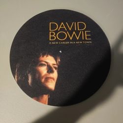 Vinyl Record Slipmat David Bowie