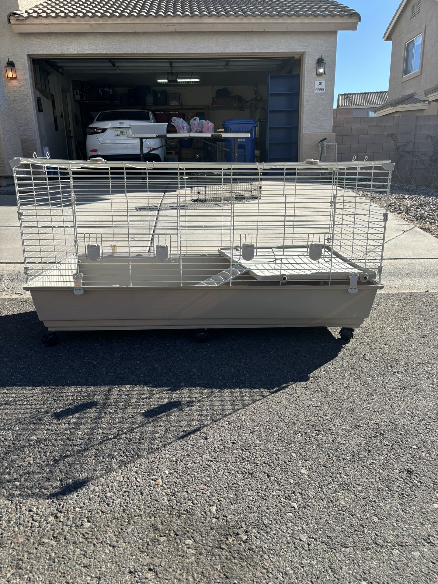 Large, Rabbit, Guinea Pig, Chicken, Bird, Cage