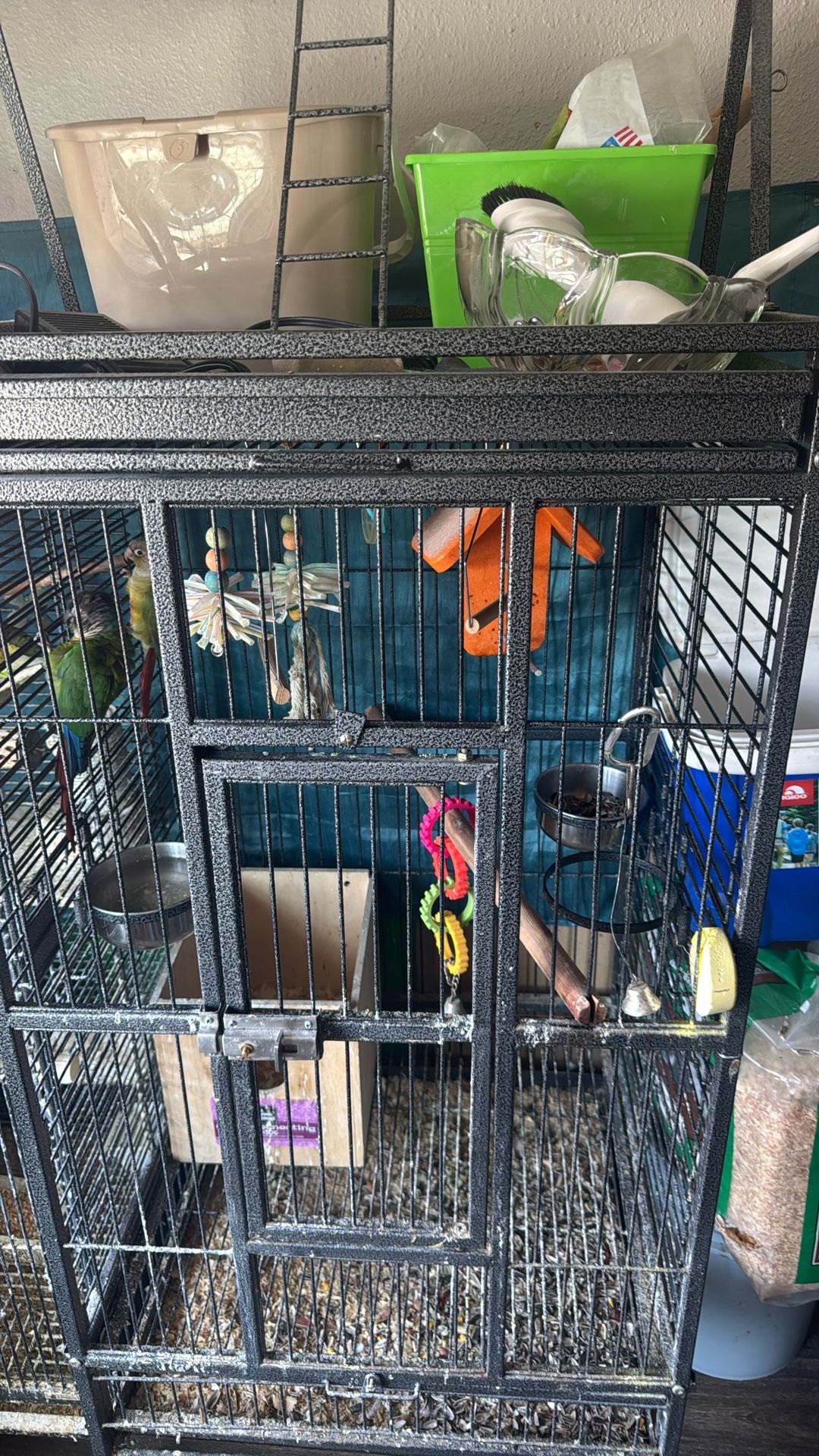 30" Jaula De Hierro Grande Para Pajaros Periquitos Aves Pequeños Casa y Exterior