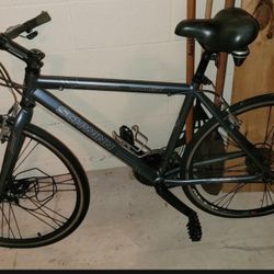 Schwinn TOURIST - $60.00 W/ AIR PUMP