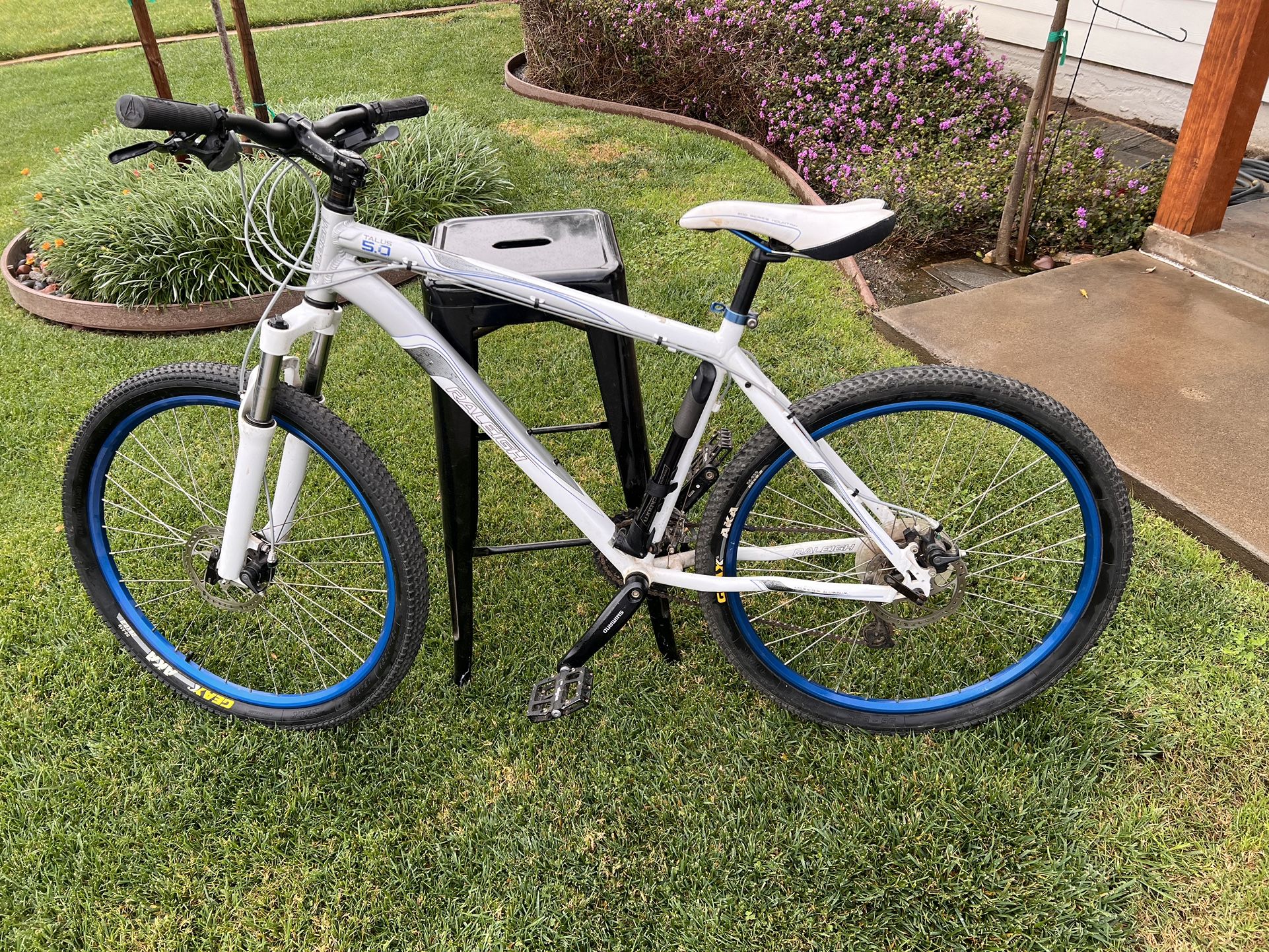 Raleigh talus 5.0 mountain bike sale