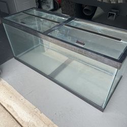 75 Gallon Aquarium With Lids And Filter