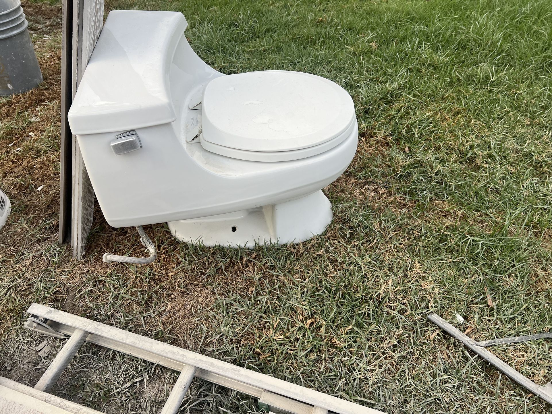 Toilet Seat