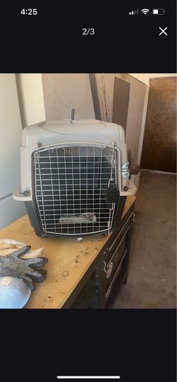 Pet Carrier Taxi