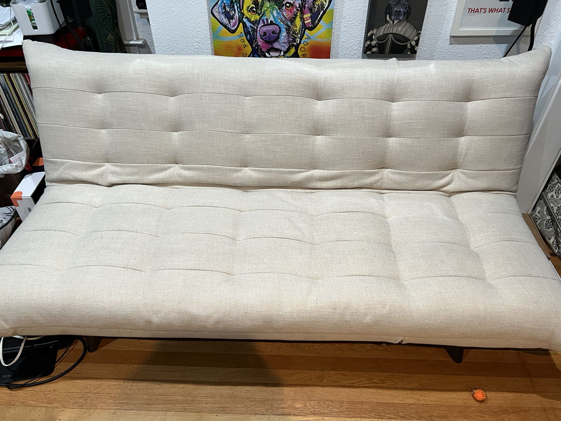 Sleeper Sofa $250 OBO 