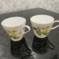 2 RARE! Spode Country Lane Fine Bone China Cups. England.