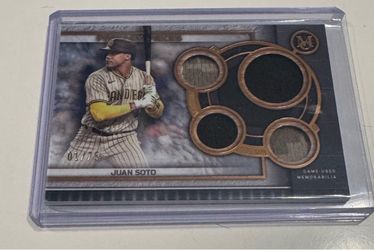 Juan Soto Game-Used Memorabilia Relic Card 01/75