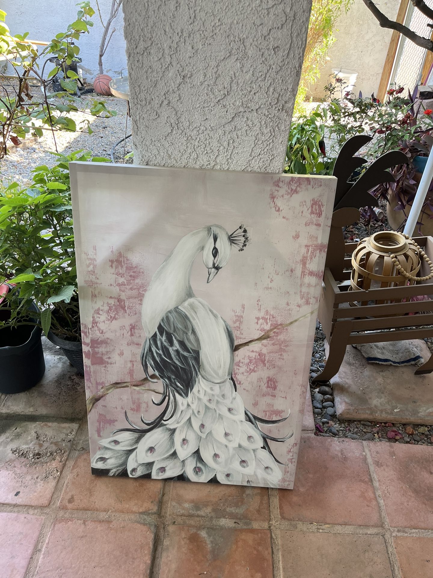 Peacock painting