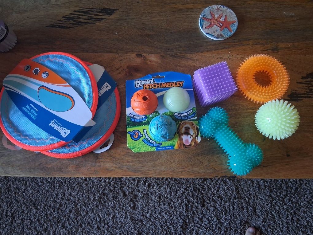 Set Of New Dog Toys