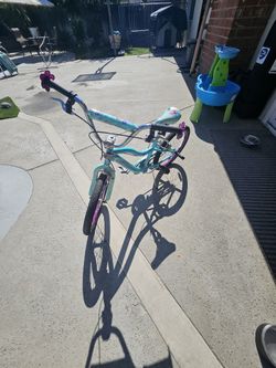 Schwin 20 Inch Bicycle