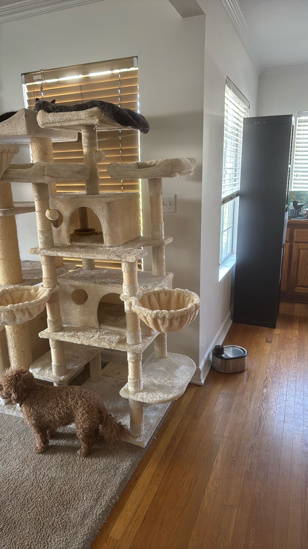 Amazing 68” Cat Tower Scratcher Tree - Pick Up Asap Good Condition