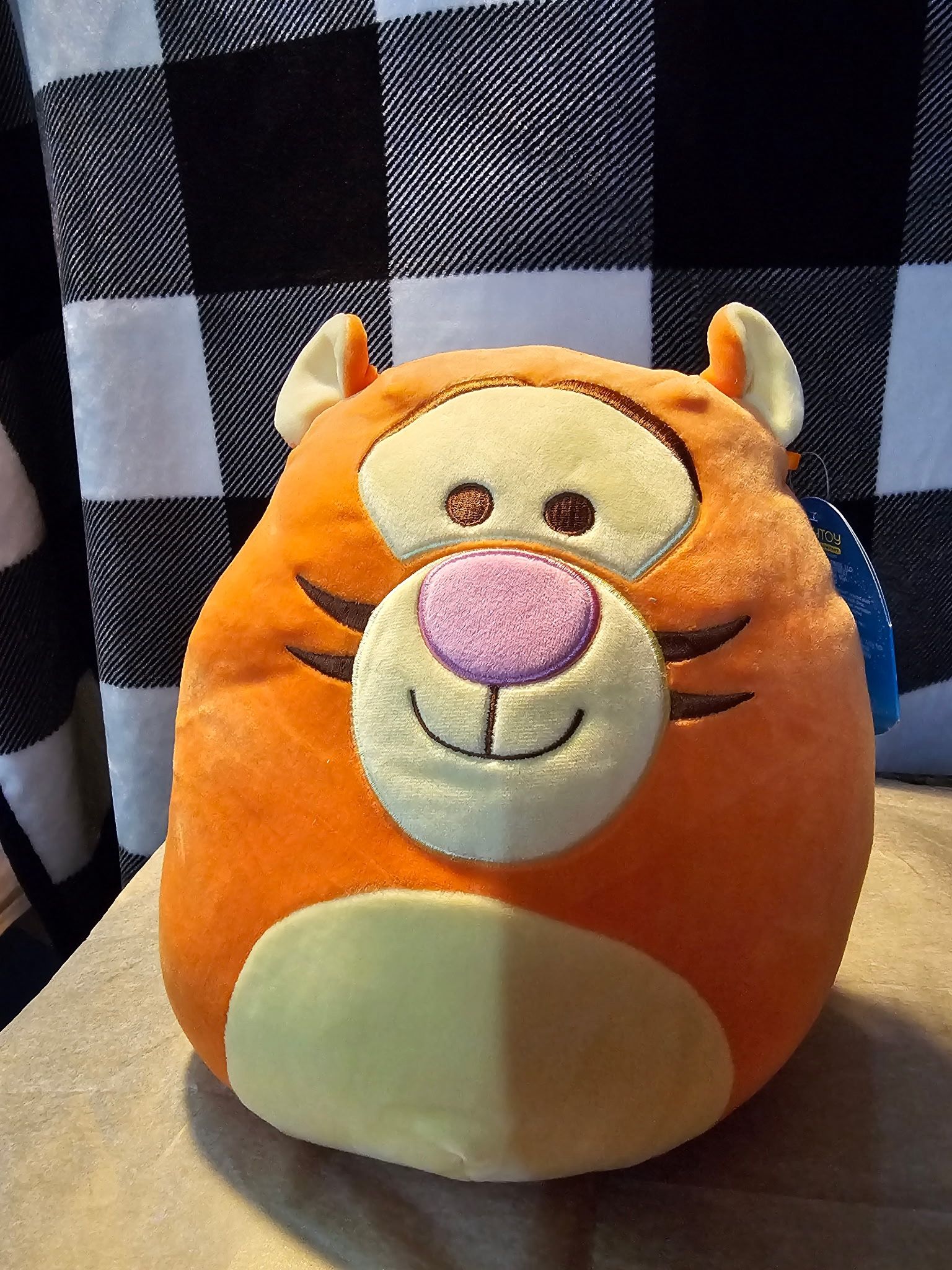Squishmallows Disney Tigger 10” NWT