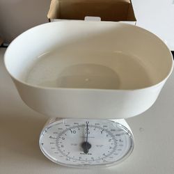 New Salter Large Dial Kitchen Scale 11LB Capacity White