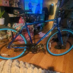 Takara kabuto 700 bike