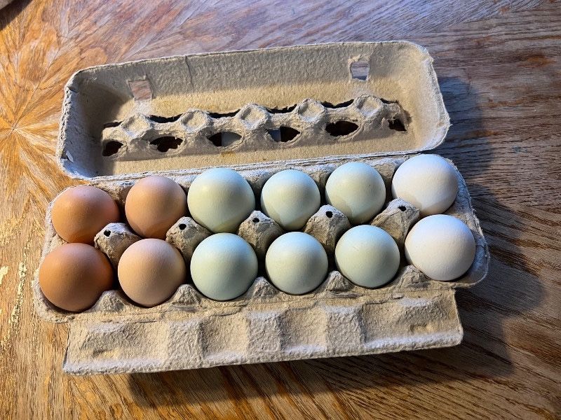Dozen Colorful Organic Eggs